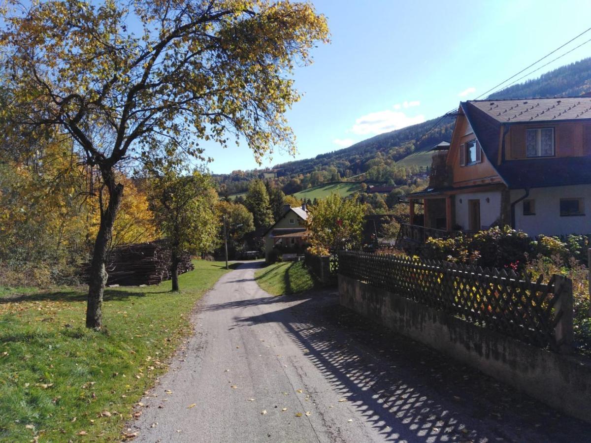 Ferienhaus Bauer Trattenbach  Eksteriør billede
