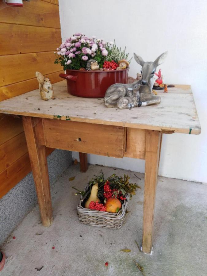 Ferienhaus Bauer Trattenbach  Eksteriør billede